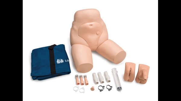 Catheterization and Enema Task Trainer - Interchangeable